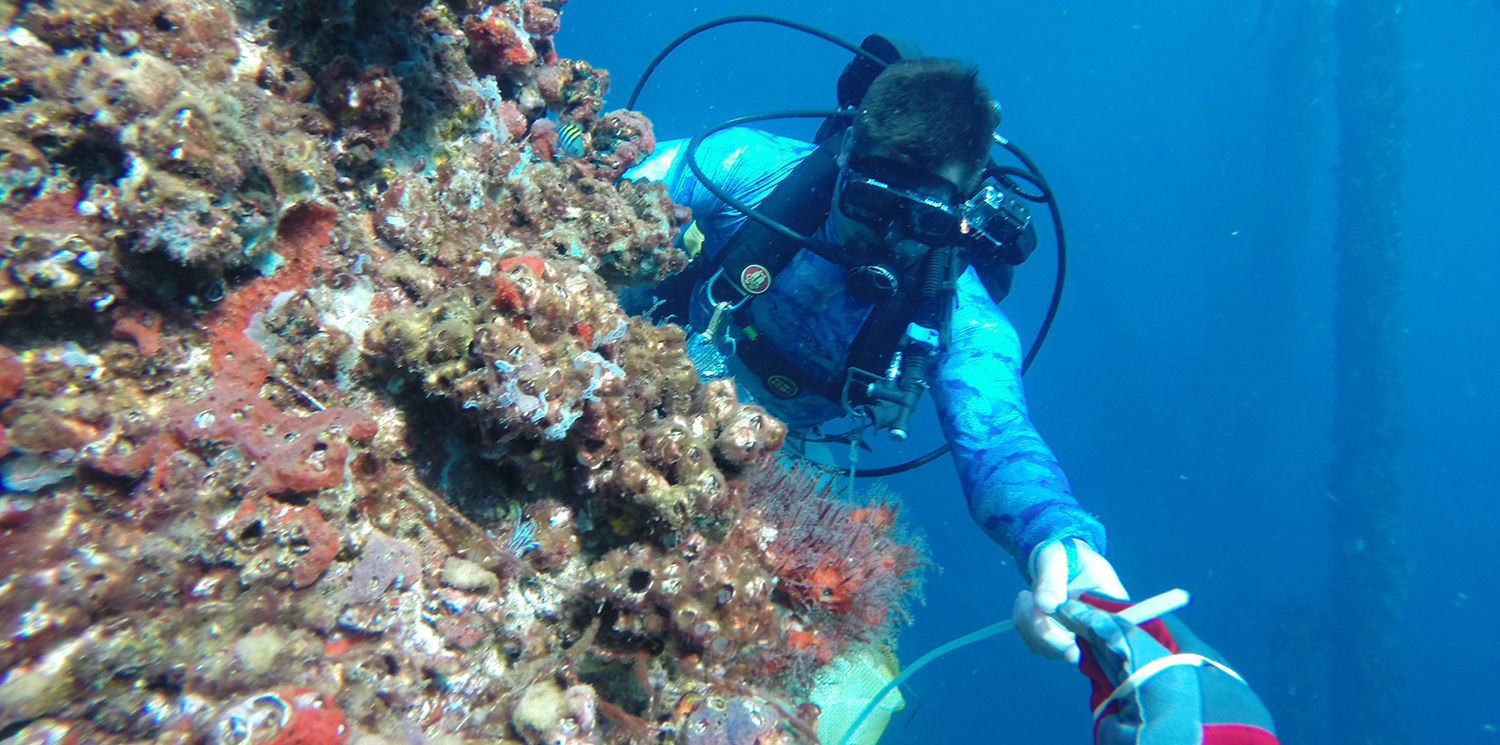 Divers conducting operations